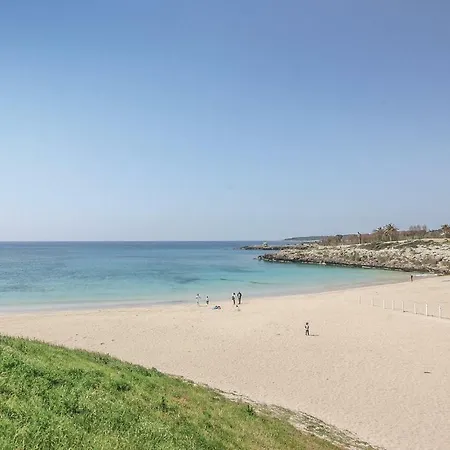 Romana 2 Palumbo